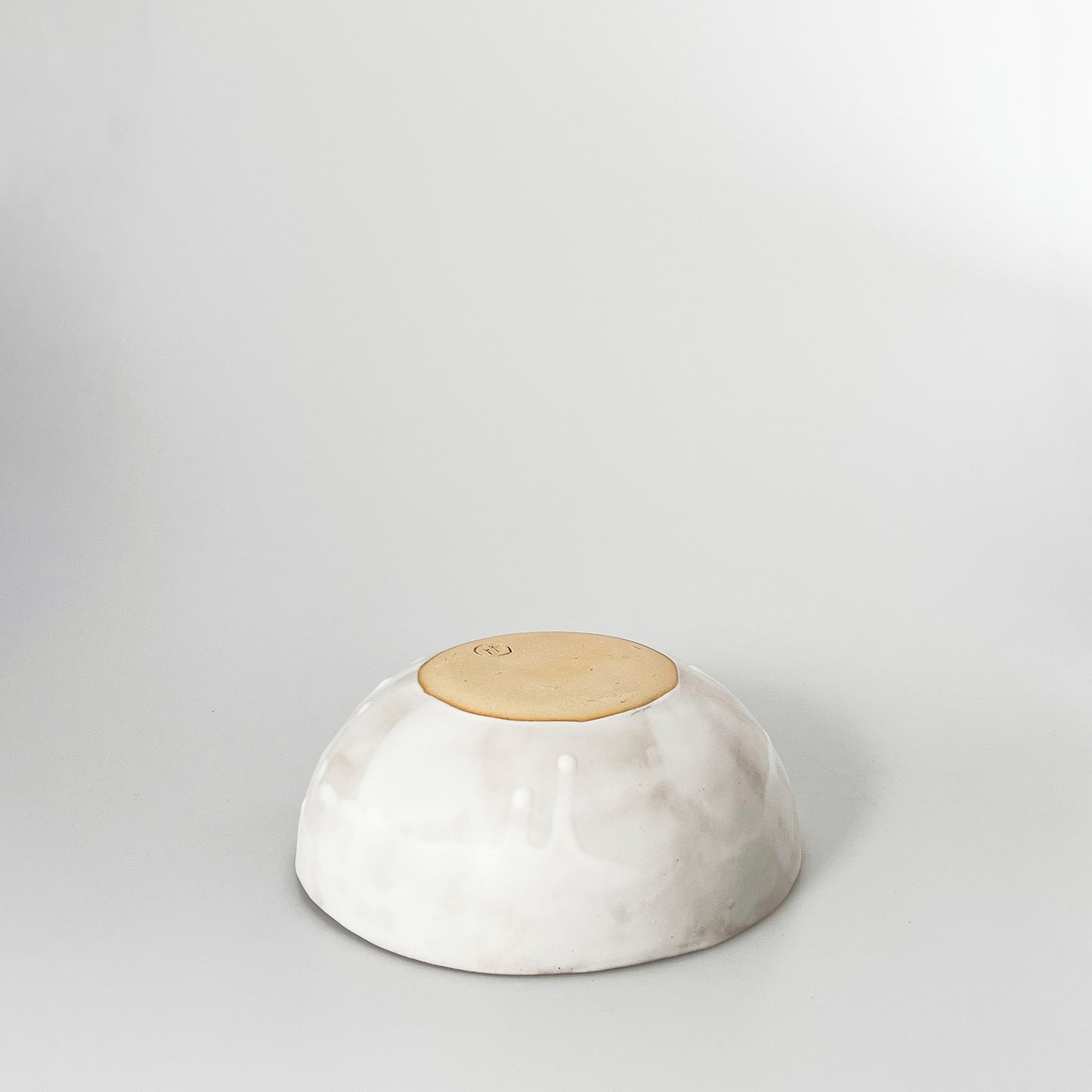 #082 bowl orgânico pati passos
