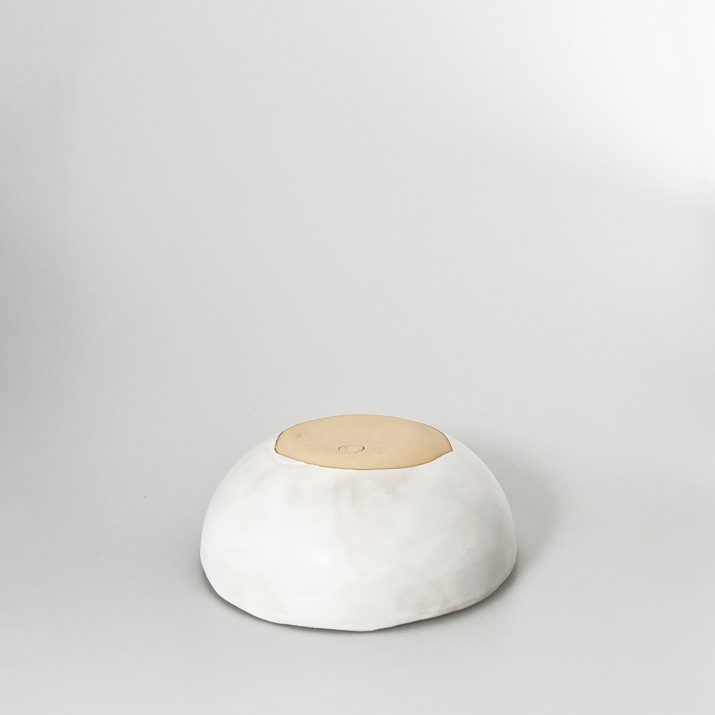 #083 bowl orgânico pati passos