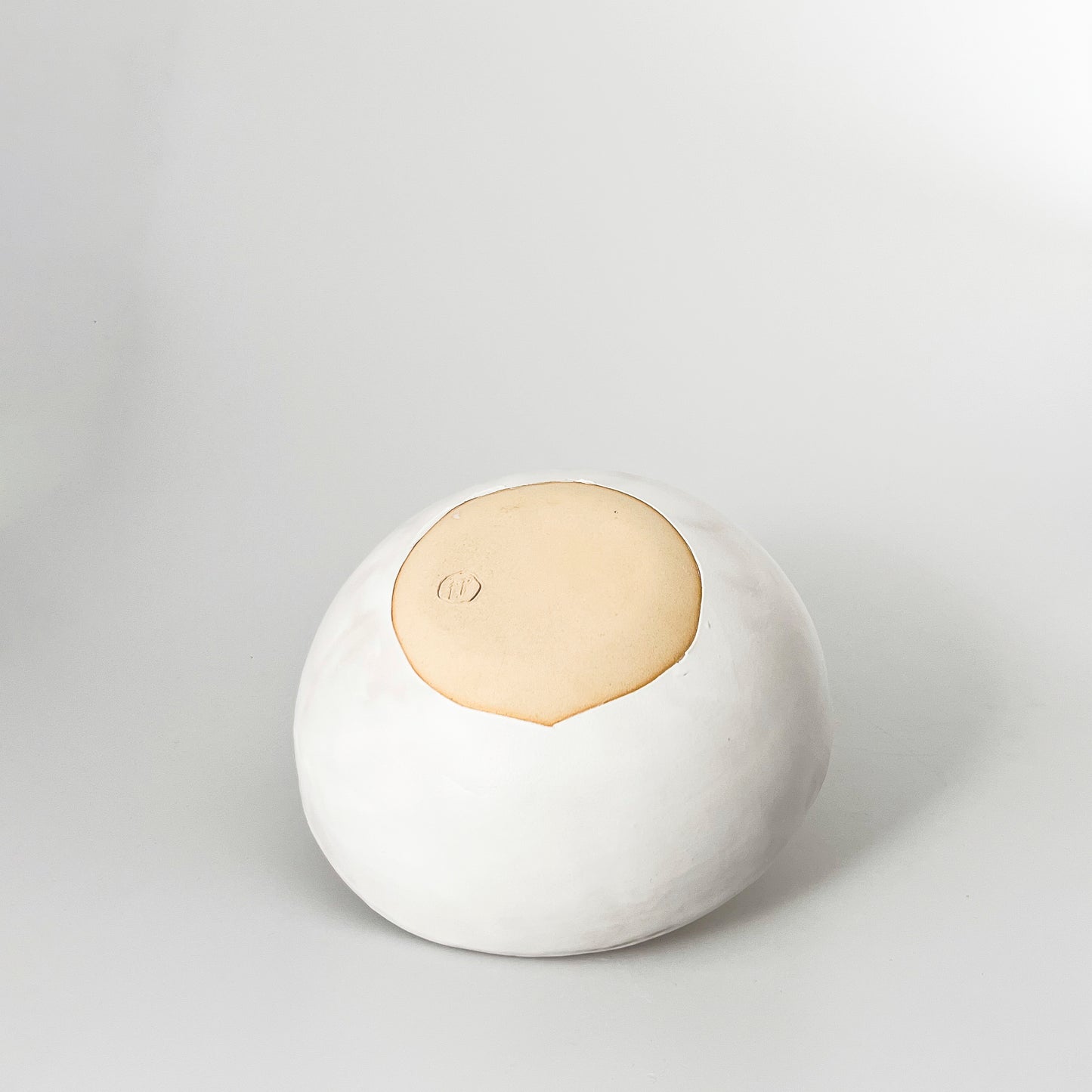 #083 bowl orgânico pati passos
